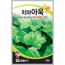 치마아욱 씨앗 20g 맛 좋고 병에 강한 재래종 아욱 쌈채소
