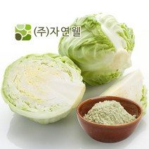 자연웰 41종류 천연 곡물가루 모음전/천연 조미료/율무가루/검은깨 가루/팥가루/시금치 분말/비트 분말/카카오분말/석류 가루/강황가루/도라지 히비스커스 분말/새싹보리 분말, 핑)국산양배추가루60g