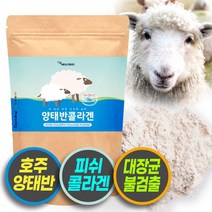 호주산 양태반 이너뷰티 나노 콜라겐 달톤 코스트코콜라겐 약국콜라겐 저분자콜라겐 고함량콜라겐 다이펩타이드 생선콜라겐 어류콜라겐 피부콜라겐 양태반콜라겐 콜라겐가루 콜라겐분말 뷰티콜라겐 피쉬콜라겐 피시콜라겐