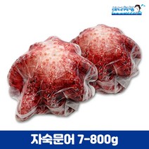 자숙문어 700/800g 필리핀 제수용 문어숙회 삶은문어
