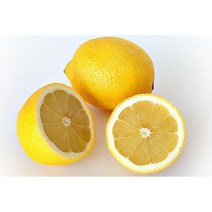 달달농산물 팬시레몬 미국 칠레레몬 초특가 세일판매중 대과 중소과 (5과 ~ 60과), 레몬 / 100g내외, 60과