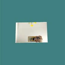 24가지 비정형거울 아크릴 오브제 거울 베이스 민자, 2mm두께130X200mm직사각형