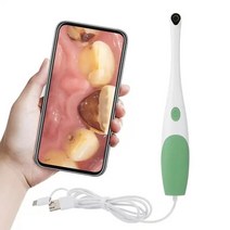 전동 귀이개 내시경 청소기 휴대용 시각적 치상경 구강 검사 카메라 방수 치아 감지 인치 화, 1.MULTI