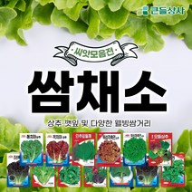 웰빙 쌈채소 상추 깻잎 다양한 쌈거리, 모듬채소