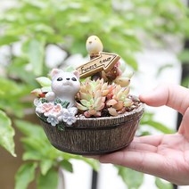 ROOGO 루고 화분 전원이야기 고양이