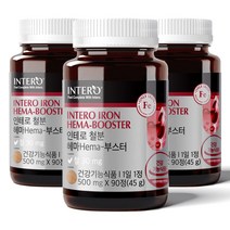 인테로 철분 임산부 비헴철 + 사은품 증정, 90캡슐 x 3개  (9개월분)