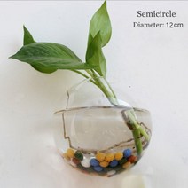 벽걸이어항 glass vase wall hanging hydroponic terrarium fish tanks potted plant flower pot, 12cm