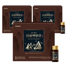 천호엔케어 녹용 품은 산삼배양근 10병세트 x 3개 벌떡 일어나는 최고급 보양제