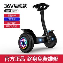 세그웨이 전동웨건 전동휠 출근용 전동 킥보드 킥보드 고카트 중학생 1인용 샤오미 전동보드, B, 배송비포함