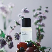 유즈 NEW 유즈 헤어 퍼퓸 30ml, 004스윗홀리데이, 1개