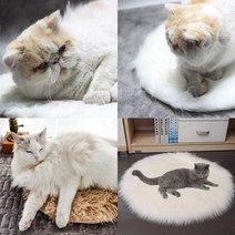 반려 온열매트 침대 히터 매트 난방 패드 고양이 개 몸 겨울 따뜻한 카펫 미끄럼방지 아늑한 애완 USB 전기 담요, 옵션, 차 브라운