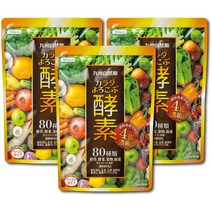 서플리먼트 九州自然館 야즈야 그룹 규슈 자연관 몸 요로코부 효소 페이스트 타입 90봉투들이 B074ZF277S, One Size, One Color