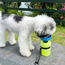 하하펫 실리콘 강아지물통 산책물병 그린