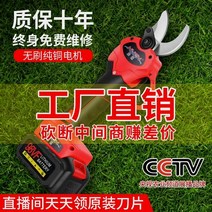 충전전지가위 충전 전지 전기 가위 독일 수입 과일 나무 식 가지 치기 강력한 리튬 배터리 가지 치기 가지 두꺼운 가지 가지 치기 기계, 없음
