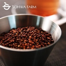 2022년 국산 볶은 피수수 500g 피수수차 통 수수차