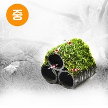 헬로아쿠아 모음)심쿵 수초아이템 160종 쉬운수초 어항장식 열대어 어항꾸미기 수족관꾸미기, 72번) 대숯3단은신처 모스활착