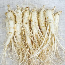 햇수삼!! 삼키우는마을 고려수삼 세척 무세척 수삼 가정용, 라.원15-700g-무료세척