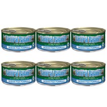 내추럴발란스 고양이 오션피쉬 포뮬라캔 156g6개