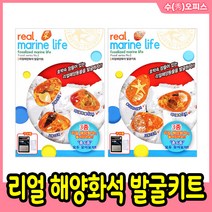 화석발굴키트 공룡화석/해양화석/곤충화석/잼 스톤 과학 발굴체험 관찰 DIY 장난감 학습준비물, 리얼 해양화석 발굴키트(대)