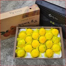 이든 황금향 2kg 가정용 7개내외 제주황금향 노지감귤 조생귤 부모님 친지 지인 선물 대량주문, 단품
