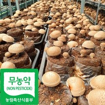 국산 무농약 생 표고버섯, 1kg(상품), 1개
