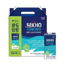 프로틴 하이뮨 190ml 16팩 음료 밸런스 단백질 서울상점몰, 단품