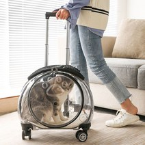 반려 동물 배낭 캡슐 이동 백팩 휴대용 여행용 외출용, 3. 검은 색