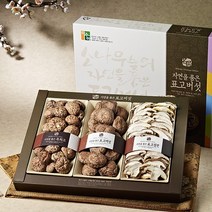 혼합버섯세트2호(흑화고특120g 동고130g 표고절편80g), 1세트