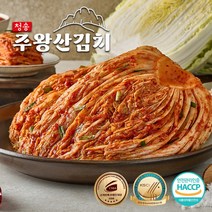 청송주왕산김치 당일생산 생포기김치, 10kg