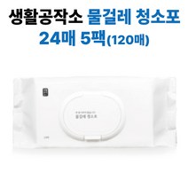 생활공작소 물걸레 청소포 24매 x 5입, 5개