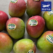 [항공직송] 페루 브라질 애플망고 2kg 4kg 가정용 선물세트, 1.[실속형] 애플망고 3-5과 (2kg)