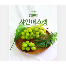 탱글달콤 고당도 김천앤 샤인머스캣 프리미엄 추석 선물세트, 프리미엄 샤인머스켓 1.3kg 2수