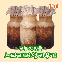 느타리버섯 배지-1개 버섯키우기키트 느타리버섯키트 소량 가정 어린이집 놀이방 학교 유치원 체험학습, 1개