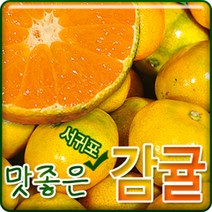 서귀포농원 23년 첫수확 고당도 비가림 하우스 감귤 5kg 10kg, 1개, 고당도 비가림 하우스 감귤 5kg소과(2S)