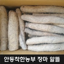 22년산 햇안동 장마 알뜰마 10키로, 장마알뜰10kg