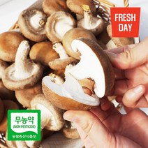 감칠맛일품 고창 생 표고버섯, 1박스, 특품 2kg