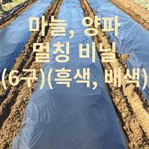 마늘 양파 전용비닐(6구 0.02 X 120cm X 200m), 배색, 6구, 1개