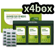 중외제약 징코앤메모리 뇌영양제 머리좋아지는약 4box 머리좋아지는영양제 두뇌에좋은 할머니 할아버지