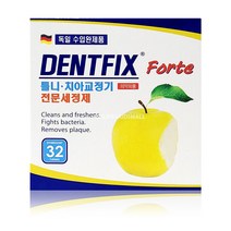 덴트픽스 32정 틀니 의치 치아 교정장치 세정제 세척제