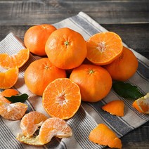 (롯데백화점)제주 고당도 레드향 4.5kg (20과내외/벌크포장)