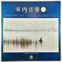 (중고LP) 실내음악2. 매혹의 피아노 경음악. 야생화 뮤직 박스 댄서 아드린느를 위한 발라드 1982년 발매 (자켓 얼룩. 음반 상태 사용감 있음)
