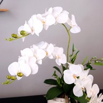 마쉬매리골드 조화 고속터미널 꽃 시장 호접란 107cm, FM288-2315