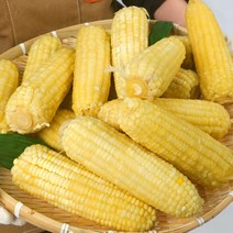 [100%품질보증제] 대용량 특대 백찰 홍찰 찰옥수수 냉동 삶은 찐 옥수수 빅사이즈 (16-21cm내외), a. 20개/백찰옥수수(특대 16-21cm)