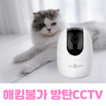 홈CCTV /보안특허/움직이는카메라/펫캠 홈캠
