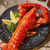 삼시세끼연구소 살이알찬 캐나다 자숙 랍스터 냉동 랍스타 테일 꼬리 꼬리살 400g 500g 1kg, 03_자연산랍스터4마리(1미당400g)