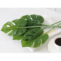초록 싱그러운 분위기 몬테라스 인조 꽃 조경인테리어, 상세페이지 참조