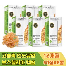 보스벨리아 고농축 인도 유향 유항 나무 BOSWELLIA 할머니 건강식품 홈쇼핑 프랑킨센스 캡슐 선물 할아버지 어르신 부모님 어머니 아버지 엄마 아빠 실버 시니어 노인 노년