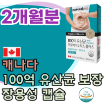 식약처 인증 캐나다 100억 CFU 유산균 프로 바이오 틱스 아연 보충 17종 혼합 장용성 코팅 캡슐 락토바실러스 불가리쿠스 아시도필러스 비피도 박테리움 롱검 브레브 파는곳 추천, 2