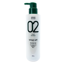 1+1구성 아모스 02 녹차실감 샴푸 500g 민감성 정품, 1개, 500ml