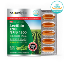 레시틴 1200 캡슐 식물성 인지질 식약처인증 순수 대두레시틴 100% 혈중 콜레스테롤 개선, 1박스, 60캡슐